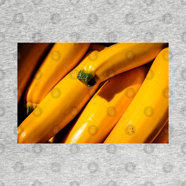 Yellow Zucchini by Robert Alsop